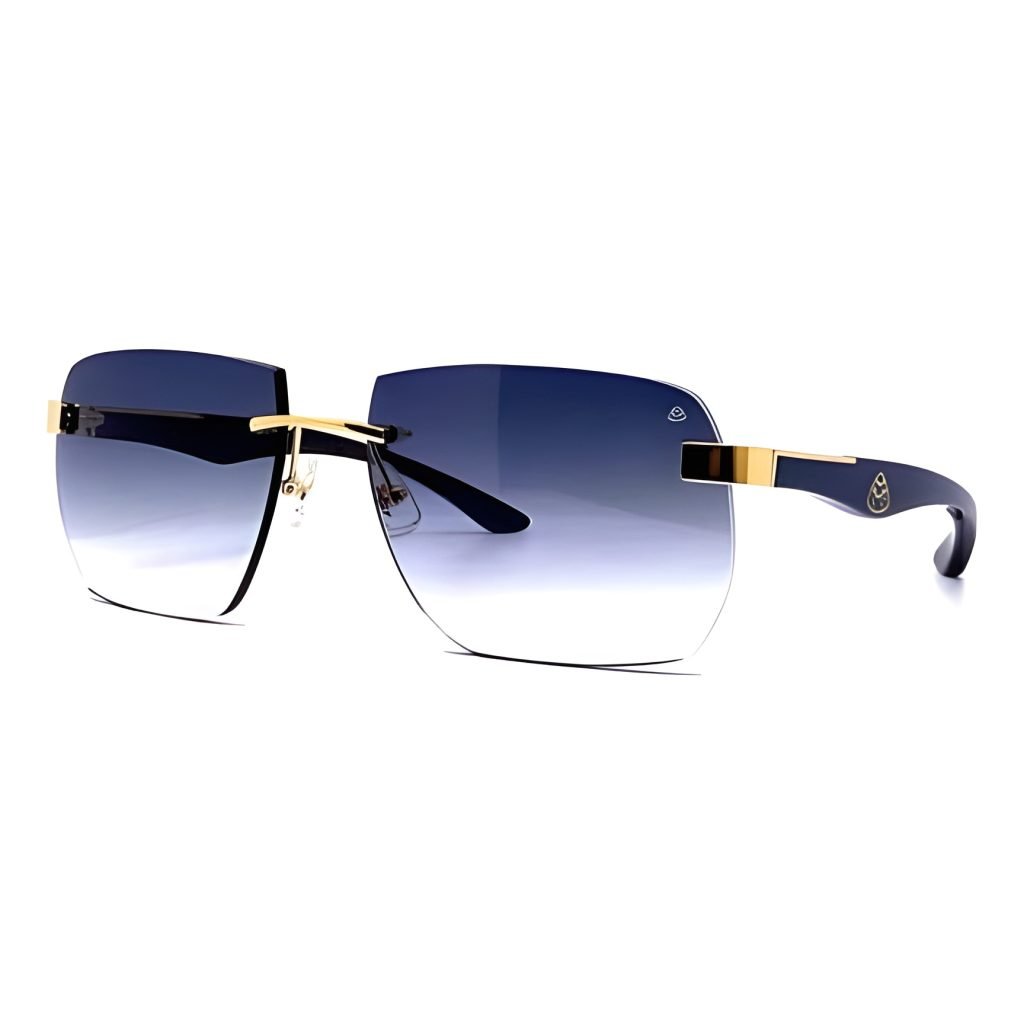 The Artist Sunglasses – Sg276