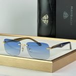 The Artist Sunglasses – Sg276