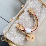 Speedy Soft 30 Bag Monogram Embleme Peuplier Jacquard Textile M28479