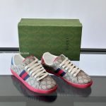 Ace GG Supreme Sneakers In Brown – Gc556