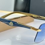The Artist Sunglasses – Sg276
