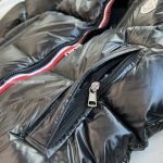 Montbeliard Down Jacket In Black – Jk709