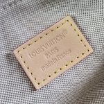 Pochette Hills Bag Monogram Embleme Jacquard M29879